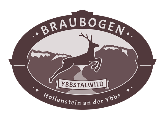 Logo Braubogen-Hollenstein